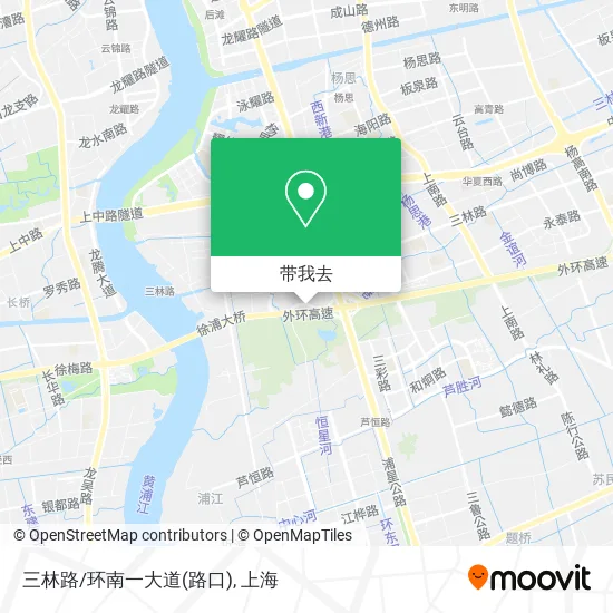 三林路/环南一大道(路口)地图