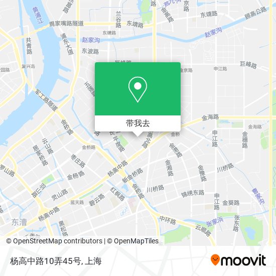 杨高中路10弄45号地图
