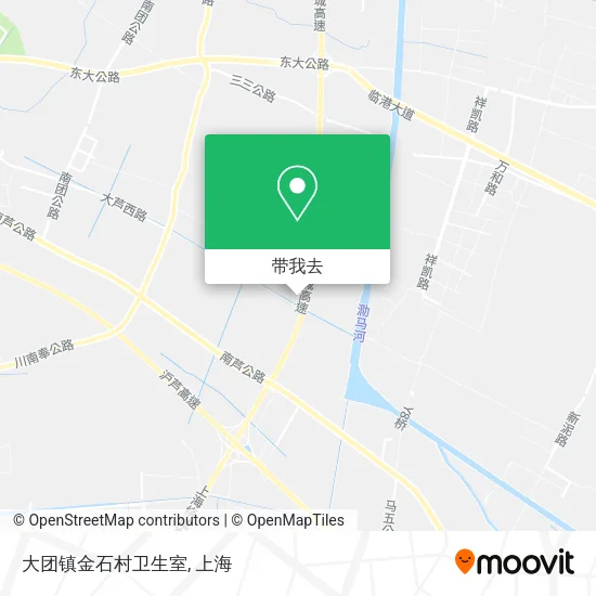 大团镇金石村卫生室地图