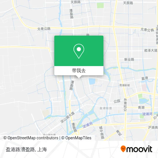 盈港路漕盈路地图