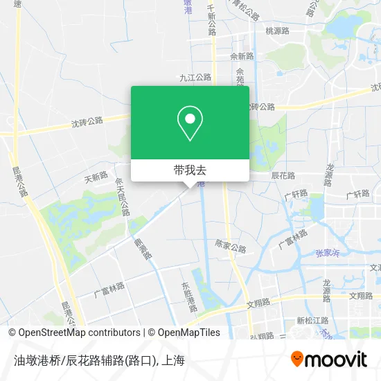 油墩港桥/辰花路辅路(路口)地图
