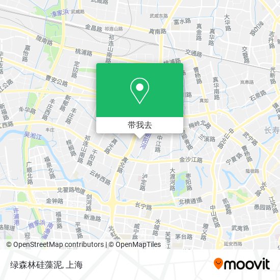 绿森林硅藻泥地图