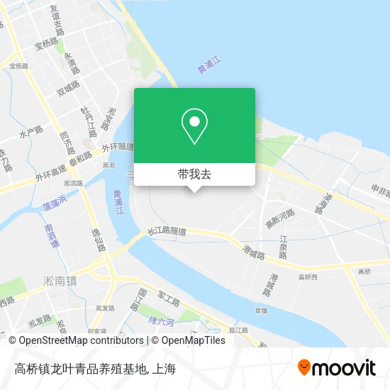 高桥镇龙叶青品养殖基地地图