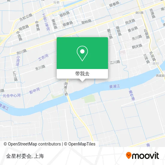 金星村委会地图