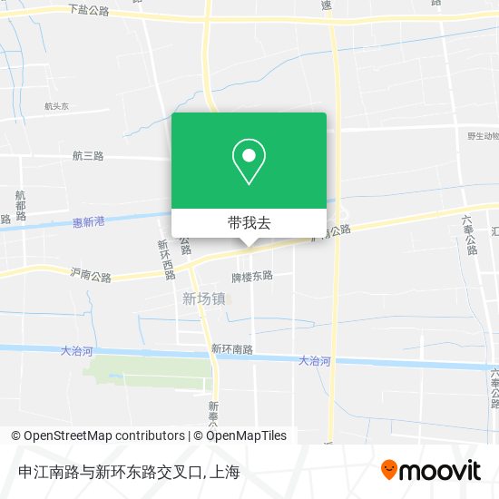 申江南路与新环东路交叉口地图