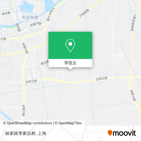 林家路李家浜桥地图