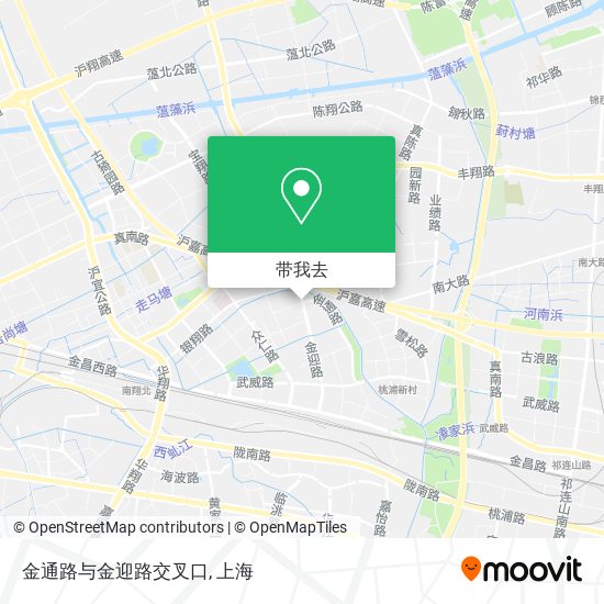 金通路与金迎路交叉口地图