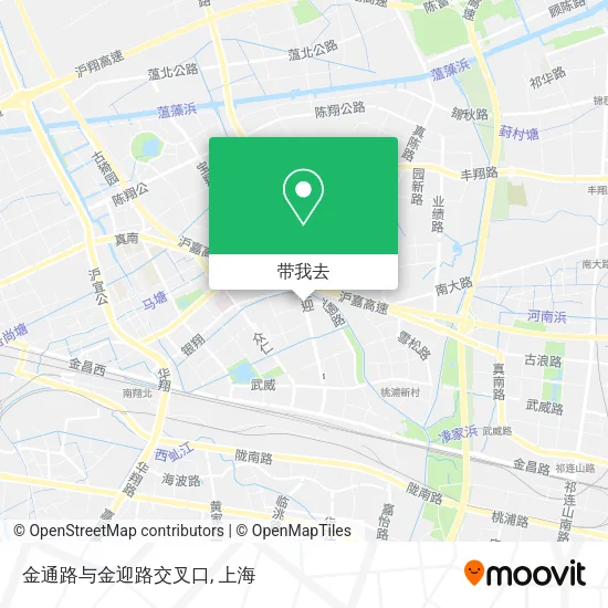 金通路与金迎路交叉口地图