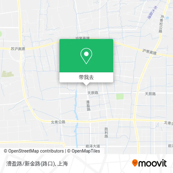 漕盈路/新金路(路口)地图