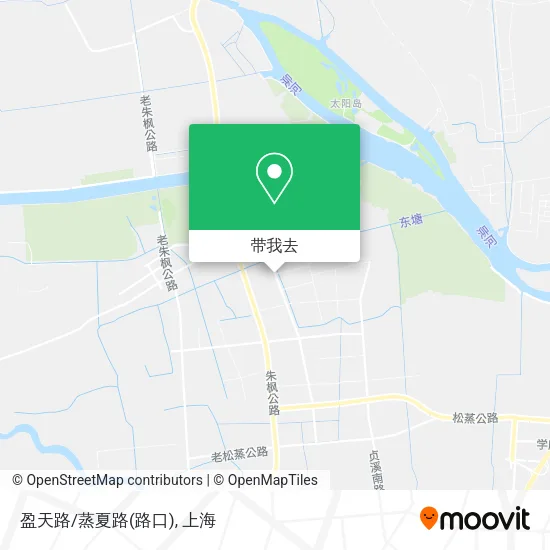 盈天路/蒸夏路(路口)地图