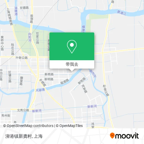 泖港镇新龚村地图