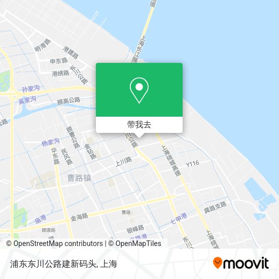 浦东东川公路建新码头地图