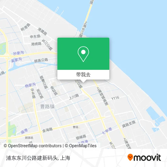 浦东东川公路建新码头地图