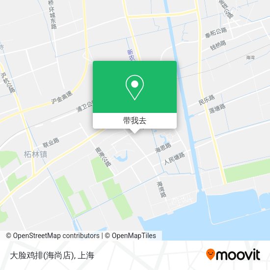 大脸鸡排(海尚店)地图