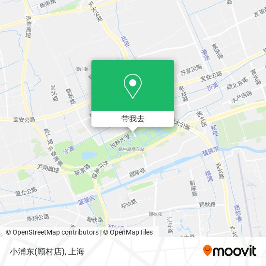 小浦东(顾村店)地图
