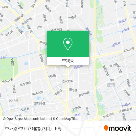 中环路/申江路辅路(路口)地图
