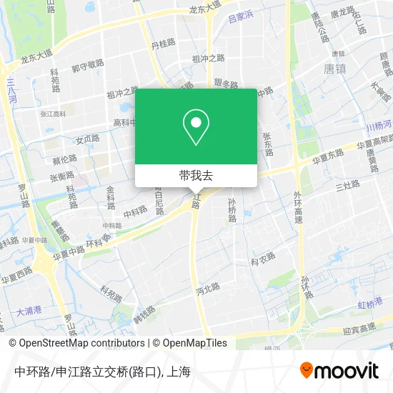 中环路/申江路立交桥(路口)地图