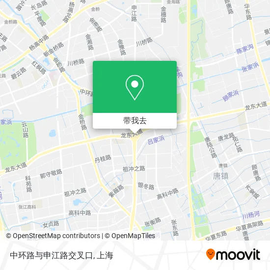 中环路与申江路交叉口地图