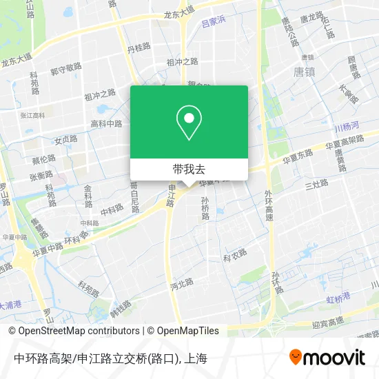 中环路高架/申江路立交桥(路口)地图