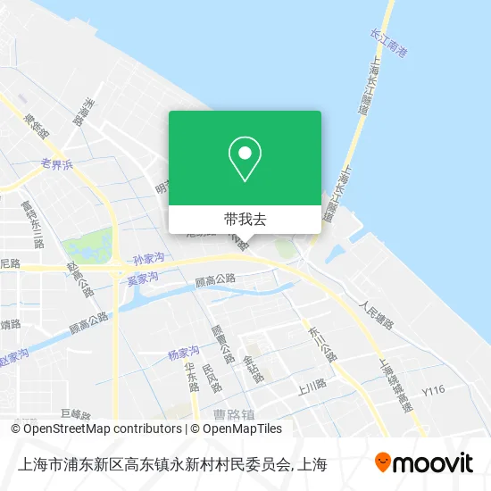 上海市浦东新区高东镇永新村村民委员会地图