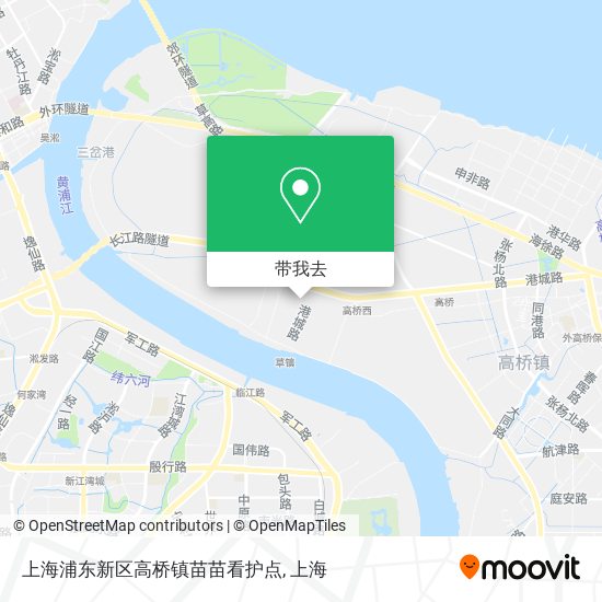 上海浦东新区高桥镇苗苗看护点地图
