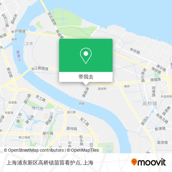 上海浦东新区高桥镇苗苗看护点地图