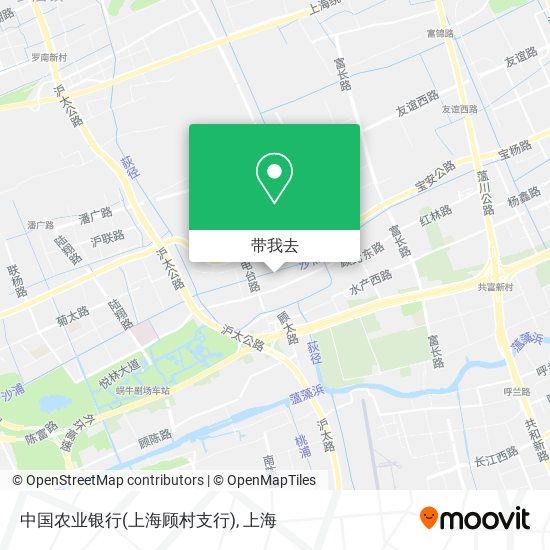 中国农业银行(上海顾村支行)地图