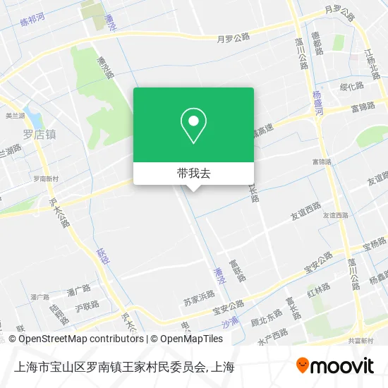 上海市宝山区罗南镇王家村民委员会地图