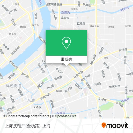 上海皮鞋厂(金杨路)地图