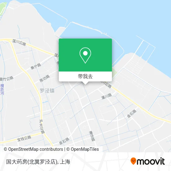 国大药房(北翼罗泾店)地图