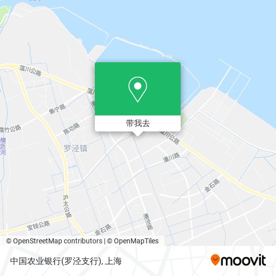 中国农业银行(罗泾支行)地图