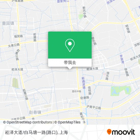 崧泽大道/白马塘一路(路口)地图