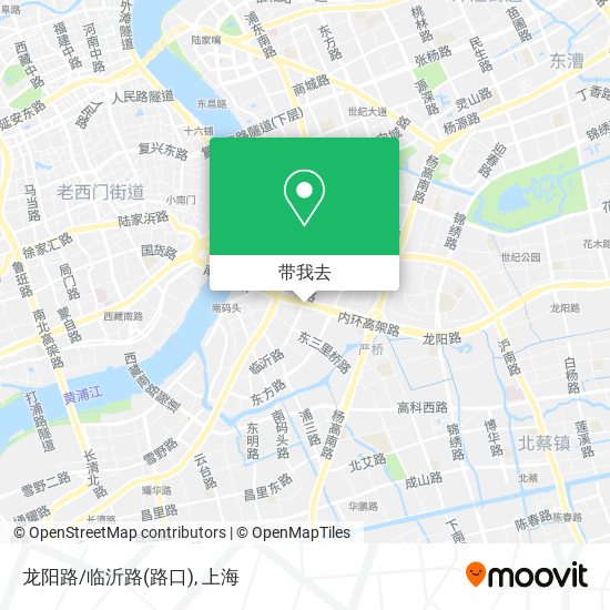 龙阳路/临沂路(路口)地图