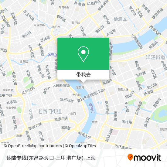 蔡陆专线(东昌路渡口-三甲港广场)地图