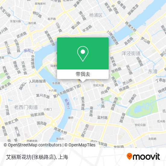 艾丽斯花坊(张杨路店)地图