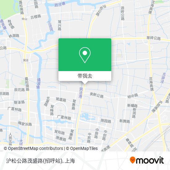 沪松公路茂盛路(招呼站)地图