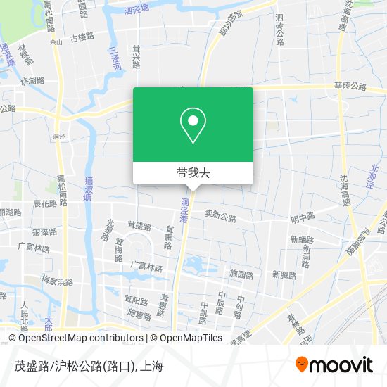 茂盛路/沪松公路(路口)地图