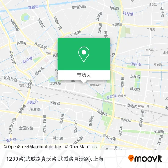 1230路(武威路真沃路-武威路真沃路)地图
