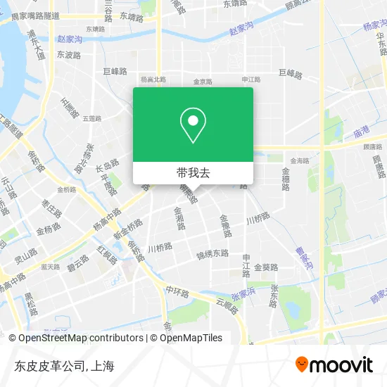 东皮皮革公司地图