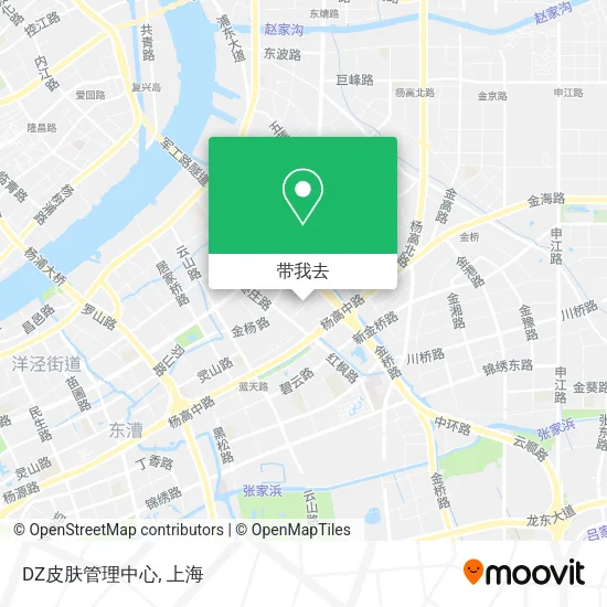 DZ皮肤管理中心地图