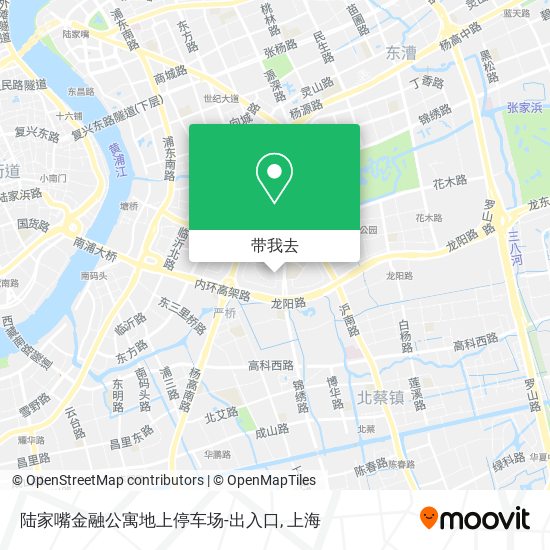 陆家嘴金融公寓地上停车场-出入口地图