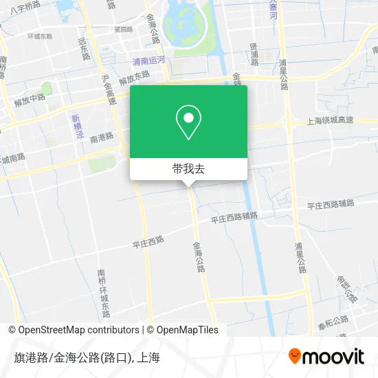 旗港路/金海公路(路口)地图
