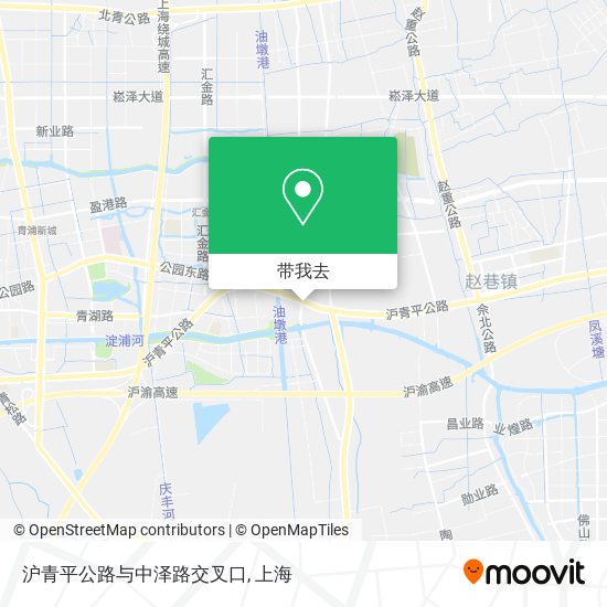 沪青平公路与中泽路交叉口地图