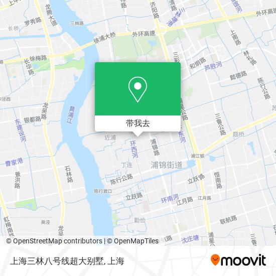 上海三林八号线超大别墅地图