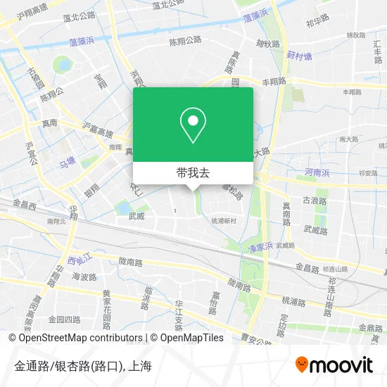 金通路/银杏路(路口)地图