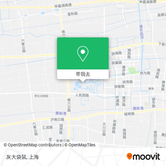 灰大袋鼠地图
