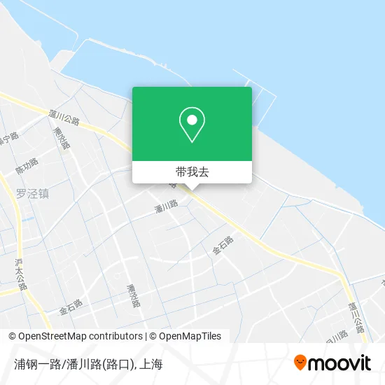 浦钢一路/潘川路(路口)地图