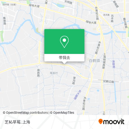 芝杺草莓地图