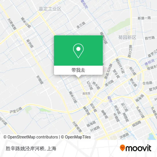 胜辛路姚泾岸河桥地图