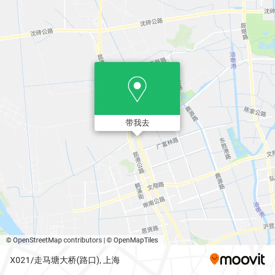 X021/走马塘大桥(路口)地图